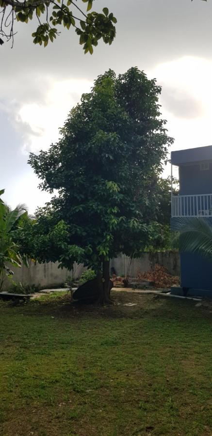 Lodgefabi'splace Alojamento de Turismo Selvagem San Andrés