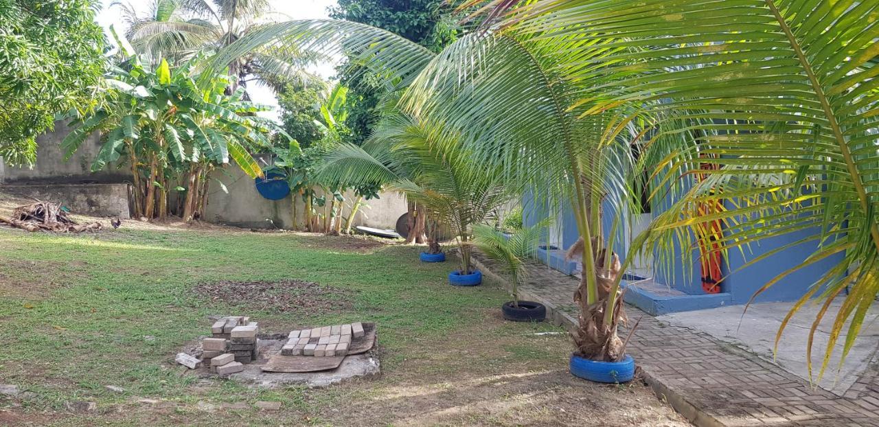 Alojamento de Turismo Selvagem Lodgefabi'splace *