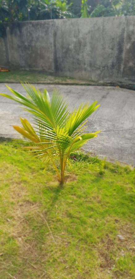 Lodgefabi'splace Lodge San Andres (San Andres and Providencia Islands)