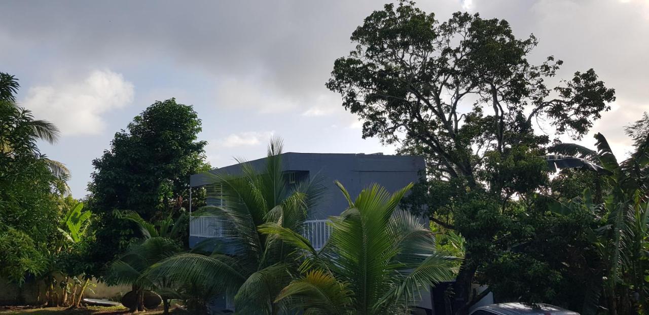 Lodgefabi'splace Alojamento de Turismo Selvagem *